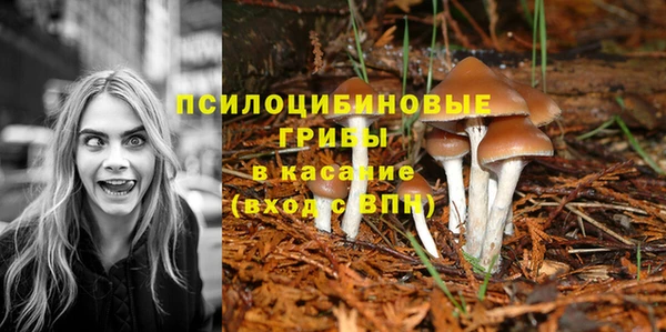 СК Верхний Тагил