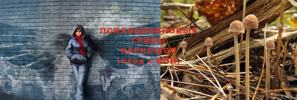 PSILOCYBIN Беломорск