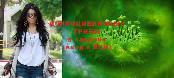 молекула духа Белоозёрский